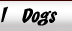 My Dogs